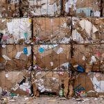 Claves para validar la sostenibilidad de empresas